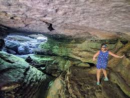 There is another waterfall inside the cave at the back. Things To Do Near Chic Contemporary Home On 4 Acres With Fire Pit With Kids Kingston Ar Trekaroo
