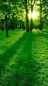 At your doorstep faster than ever. Landscape Wallpaper Hd For Android Apk Download