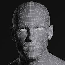 3d Male Head Wireframe Male Body Body Anatomy 3d Model Character