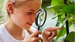Image result for child curiosity