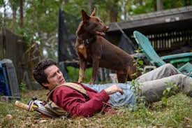 Audience reviews for hero dog: Love And Monsters Dylan O Brien Embraces Canine Co Stars And Voting