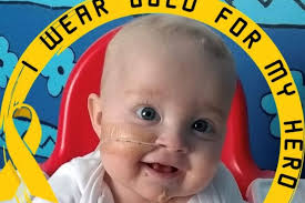 Fundraiser by Kristina Calvey : Max the Brave Fundraiser