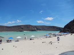 Guide to all the best beaches in and around clearwater. Beautiful Clear Water And Sandy Beach Review Of Playa Tecolote Baja California Mexico Tripadvisor