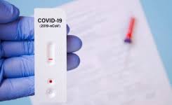 Microbiology News Clinical
