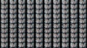 toni fowler scandal - XNXX.COM