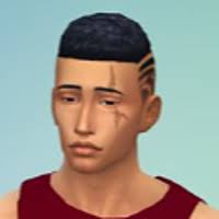 Ward University (Sims 4 Machinima VO Series)