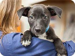 Pin On 2014 We Love Forever Homes