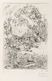 Bildergebnis für Roel D'Haese