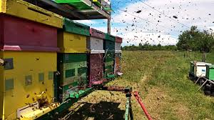 Check spelling or type a new query. Top 10 Afaceri Profitabile Din Domeniul Agriculturii In 2021 Blog Cursvalutar Ro