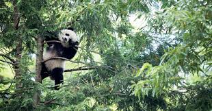 Pin On Did You Know Fyi News Politics Society