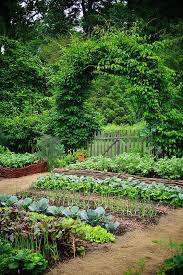 Vegetable Garden 1 By Karlgercens Com Garden Lectures Garden Ideas Large Small Backyard Gardens Garden Layout