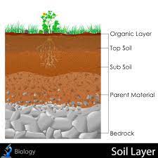 Soil Layers Kidspressmagazine Com Soil Layers Soil Weathering And Erosion