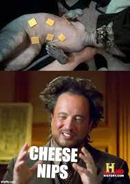 Cheese Nips Memes Gifs Imgflip