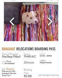 We did not find results for: Bhagavat Relocations Packers And Movers Pune Home Facebook