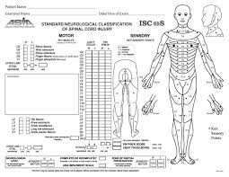 Asia Classification Spinal Cord Injury Spinal Cord Asia