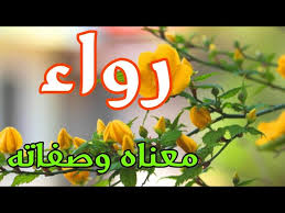 معنى اسم رواء وصفات حاملة هذا الإسم Youtube