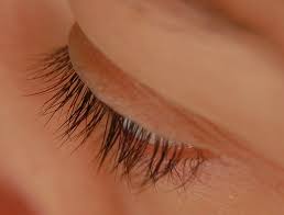 You can learn american english in just 5 minutes a day with our free app! Eyelash Wiktionary