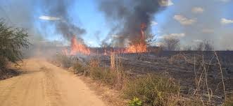 Incêndio atinge zona rural de Bom Jesus e consome 4 hectares de vegetação - Bom  Jesus - Cidadeverde.com