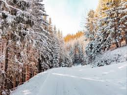 Forest Winter Snow Road Sky Nature Winter Landscape Background Toppng Nature landscape painting winter painter photography, others png clipart. forest winter snow road sky nature