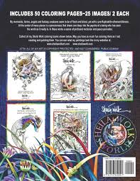 And free adult coloring pages so that i can practice my craft. Fairy Fantasy Art Adult Coloring Book Sheila Wolk Volume 1 Volume 1 Fairy Band 1 Amazon De Wolk Sheila Fremdsprachige Bucher
