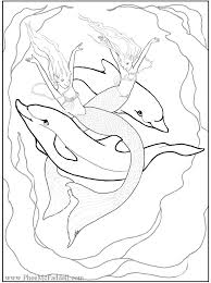Dolphin and mermaid coloring pages. Free Printable Dolphin Coloring Pages For Kids 2419 Mermaid Coloring Home