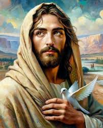 What are the key takeaways from this week's lesson