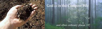God Is In The Compost Pile Book Sneeze Review Nelsons