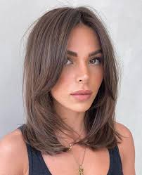 Lost Toyota key with brown wallet and Daca card