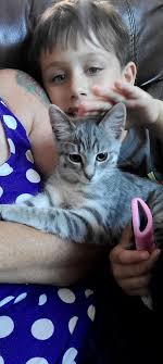 Lost Kitten Astro in Shreveport/Bossier City Area