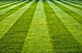 Briant brasher, owner of brasher services in birmingham is a 11 year lawn care industry veteran. How To Find Affordable Lawn Care Services Topic Answers