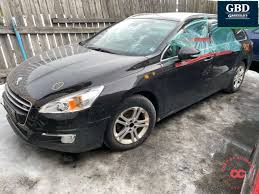 Image result for Brun Guaranja 2014 Peugeot