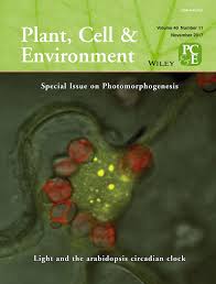 Hosts the world's broadest and deepest multidisciplinary collection of online resources covering life, health and. Cucurbit Extrafascicular Phloem Has Strong Negative Impacts On Aphids And Is Not A Preferred Feeding Site Kanvil 2017 Plant Cell Amp Environment Wiley Online Library