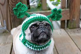 Dog Hat Irish With Four Leaf Clovers Made To Order Dog Hat Irish Dog Dogs