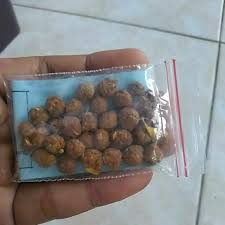 Check spelling or type a new query. Jamu Vitamin Stamina Obat Giring Keket Burung Merpati Burung Dara Obat Sakit Merpati Shopee Indonesia