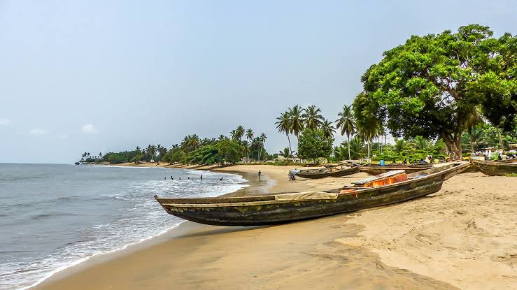 Kribi Beach Palms Atlantic Coast Cameroon