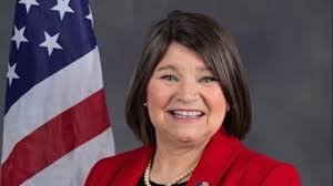 Retired businesswoman announces campaign to unseat Representative Dan Kildee