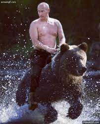 If you believe you received this message putin rides bear back | when i say i ride bareback, i mean i ride bear back. Top 30 Bears A Gifs Find The Best Gif On Gfycat