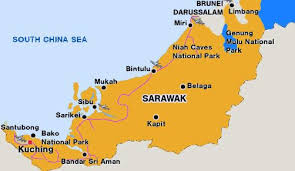 Warna hitam melambangkan kekayaan sumber asli sarawak seperti minyak mentah, balak dan sebagainya yang merupakan landasan bagi memajukan rakyatnya. Bendera Sarawak Dan Malaysia