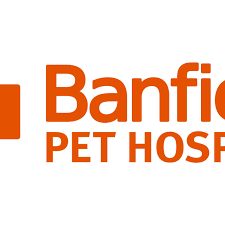 Banfield Pet Insurance Review