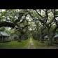 Our History Our Story: Ocoee Remembers event image