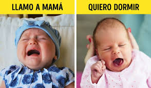 17 Senales Que Un Bebe Usa Para Comunicar Algo Cuando Aun No Sabe Hablar Trucos Bebe Cuidados De Bebes Alimentacion Bebe