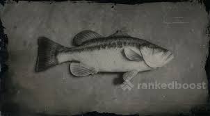 Looking for the best wallpapers? Red Dead Redemption 2 Largemouth Bass Locations Crafting Legendary Materials