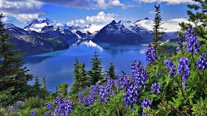 Fonds D Ecran Paysage Suisse Maximumwallhd