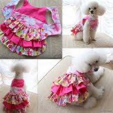 Free Dog Clothes Patterns To Sew Yahoo Image Search Results Dog Clothes Patterns Sewing Dog Clothes Patterns Dog Dress Pattern