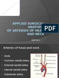 Cervical artery dissection is a dissection of any of the arteries in the neck. Arteries Of Head And Neck Common Carotid Artery Vertebra