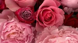 Can also be used as an adjective. Petik Jari Photos Facebook