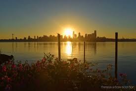 Always kittens to love and adopt here. West Seattle Sunday Notes For What Might Be A Historically Hot Day West Seattle Blog