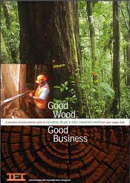 It all began with a deep connection & appreciation for the woods. Good Wood Good Business Scott Poynton