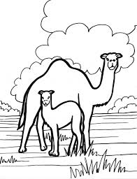 A few boxes of crayons and a variety of coloring and activity pages can help keep kids from getting restless while thanksgiving dinner is cooking. Camel Coloring Page Animals Town Animals Color Sheet Camel Free Printable Coloring Pages Animals
