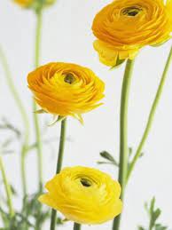 Pin On Wedding Ideas